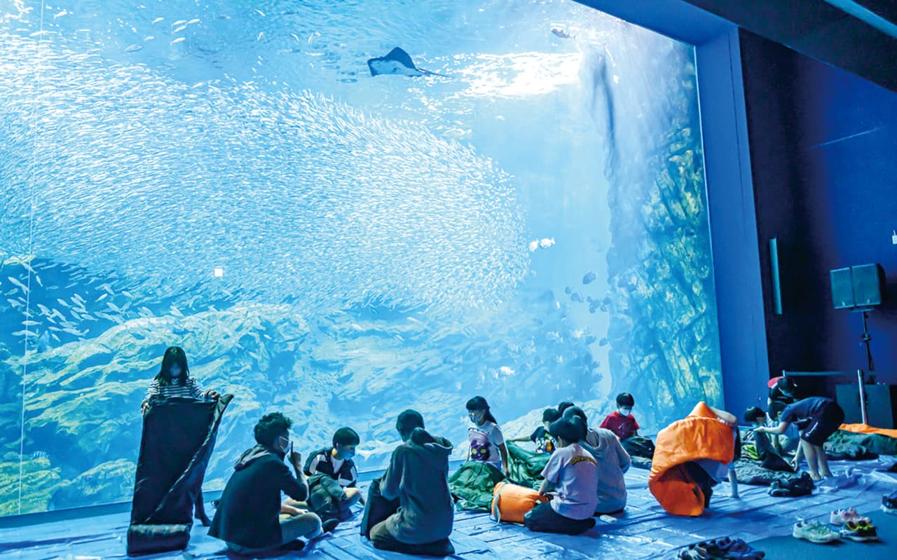 水族館でお泊り体験★