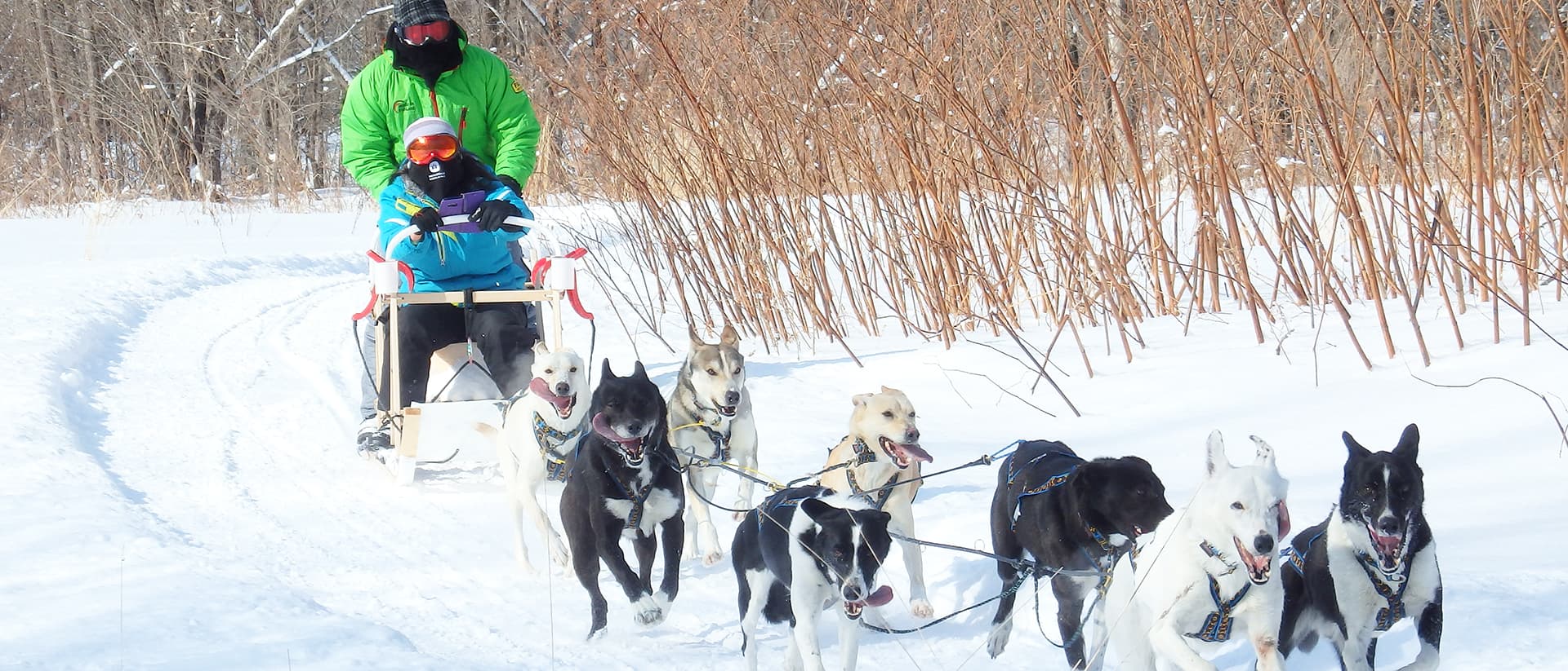 ~犬ぞり体験・スノーアクティビティ・氷上露天風呂~北海道・冬の十勝満喫キャンプ ①東京泊 ②当日羽田集合