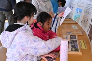 世界自然遺産 秋の知床半島へ上陸★クジラ探索クルーズ&ネイチャー冒険ツアー【東海出発】