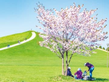 ★GW特別企画★そらまめ北海道キャンプ4days