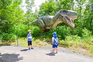 【関西出発】~恐竜博物館&ディノパーク&化石発掘体験~福井恐竜キャンプ2days