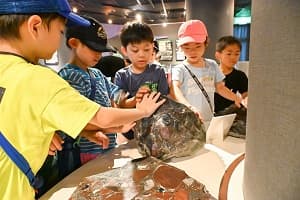 【関西出発】~恐竜博物館&ディノパーク&化石発掘体験~福井恐竜キャンプ2days