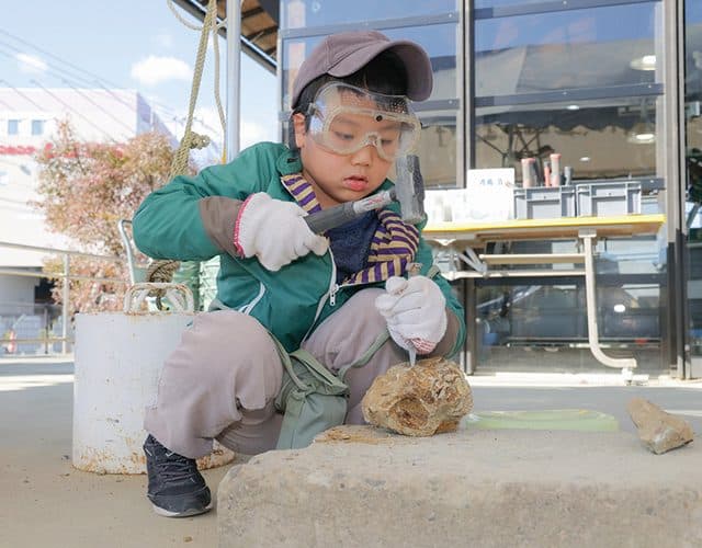 1500万年前の海の不思議!!たっぷり化石発掘ツアー