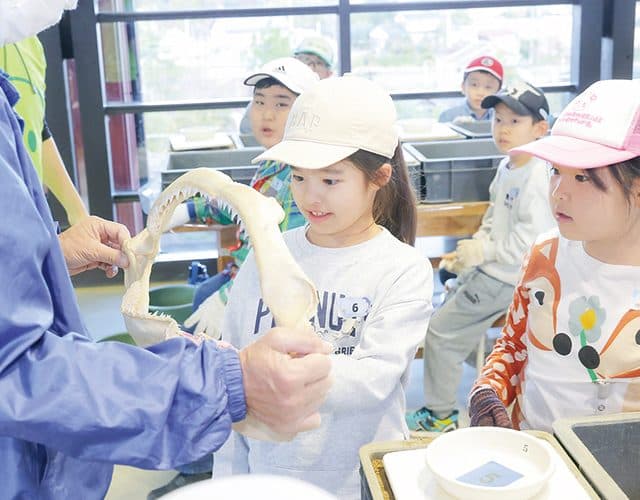 1500万年前の海の不思議!!たっぷり化石発掘ツアー