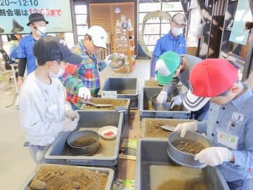 1500万年前の海の不思議!!たっぷり化石発掘ツアー