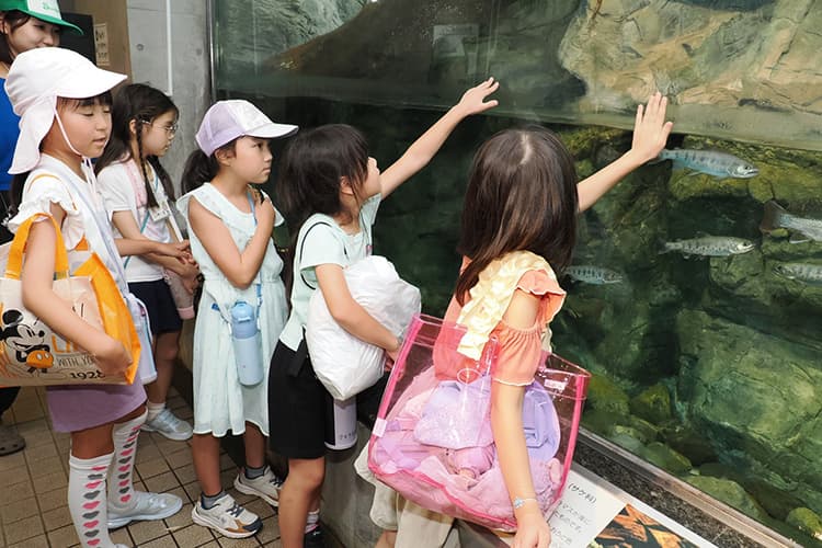 ~ウォーターアスレチック・室内プール・川の博物館見学~そらまめ夏休みアクアキャンプ