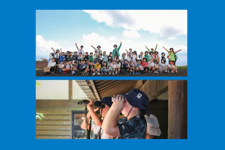 夜行船でイルカに会いに行こう!亜熱帯の楽園・三宅島大冒険キャンプ ①ドルフィンスイムコース ②ドルフィンウォッチングコース