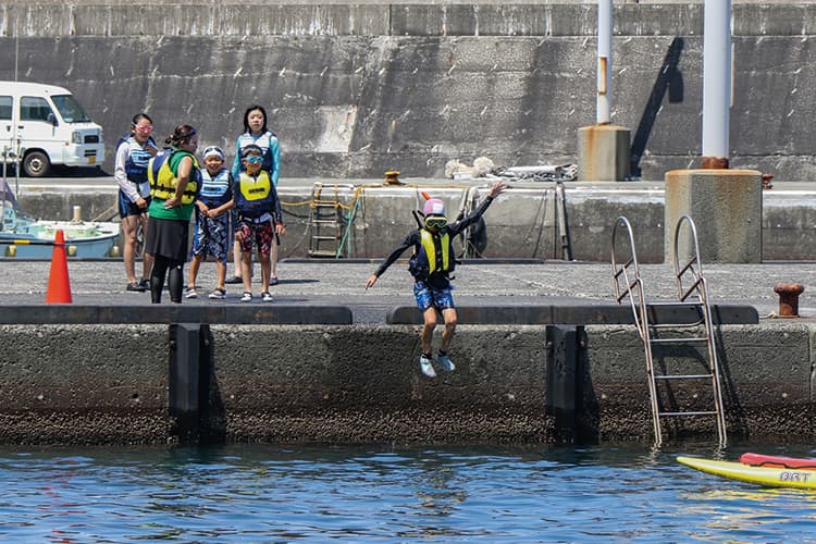 夜行船でイルカに会いに行こう!亜熱帯の楽園・三宅島大冒険キャンプ ①ドルフィンスイムコース ②ドルフィンウォッチングコース