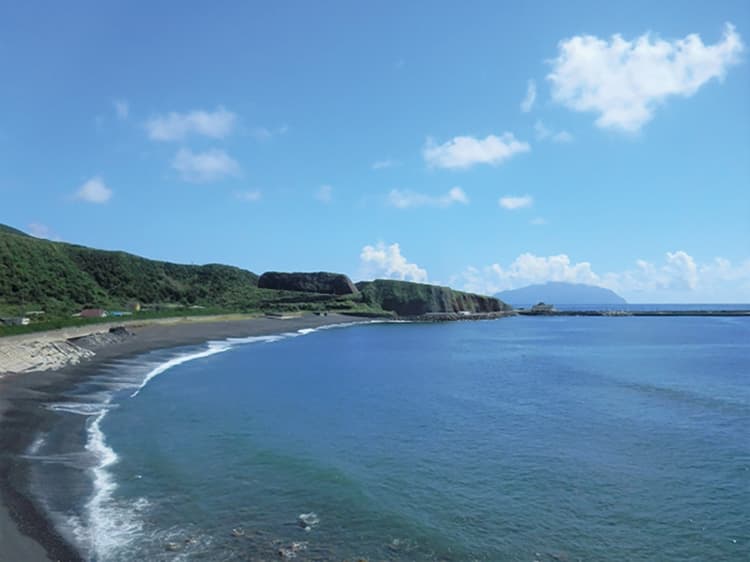 夜行船でイルカに会いに行こう!亜熱帯の楽園・三宅島大冒険キャンプ ①ドルフィンスイムコース ②ドルフィンウォッチングコース