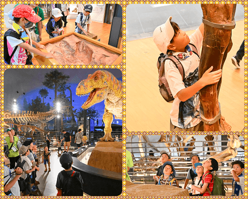 ~恐竜博物館&ディノパーク&化石発掘体験~福井恐竜キャンプ2days【東海出発】