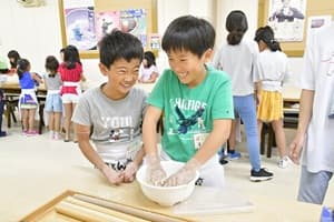 イルカたちと泳ごう♪ドルフィンスイム&トレーナー体験ツアー【関西出発】