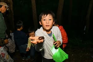 ~夜の森に出かけよう!~カブトムシ&クワガタ採集ツアー【東海出発】