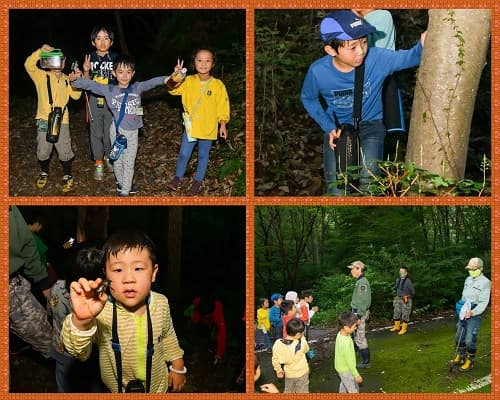 ~夜の森に出かけよう!~カブトムシ&クワガタ採集ツアー【東海出発】
