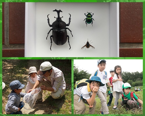 キャンプ 東海出発 そらまめ森の探検隊 春の昆虫採集ツアー 昆虫標本コース 子供のためのキャンプ 工場見学 自然体験 スキーツアーはそらまめキッズアドベンチャーへ