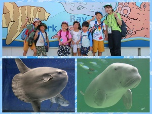 社会科見学 関西出発 ２つの水族館を巡る 真夏の神秘体験 ナイトアクアリウムツアー 子供のためのキャンプ 工場見学 自然体験 スキーツアーはそらまめキッズアドベンチャーへ