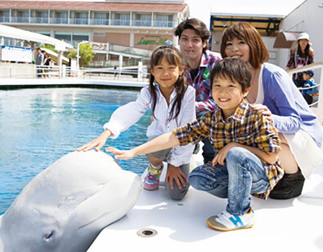 キャンプ そらまめ秋の八景島シーパラダイス満喫ツアー ドルフィンコース 子供のためのキャンプ 工場見学 自然体験 スキーツアー はそらまめキッズアドベンチャーへ キャンプ そらまめ秋の八景島シーパラダイス満喫ツアー ドルフィンコース 子供のためのキャンプ 工場見学 自然体験 スキーツアー はそらまめキッズアドベンチャーへ