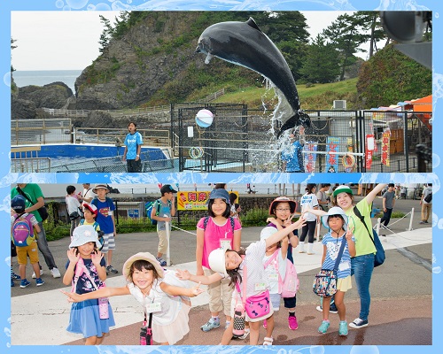 野外体験 関西出発 夜の神秘体験 お泊り水族館ツアー 子供のためのキャンプ 工場見学 自然体験 スキーツアーはそらまめキッズアドベンチャーへ たくさんの海の生き物や魚が泳ぐ巨大水槽はどれだけ見ていても飽きません ほかにもダイナミックなイルカショーを