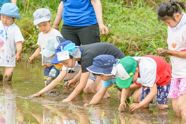 ドラム缶風呂女子小学生 No.43 ドラム缶風呂 ※5月1日～9月30日限定（提供時間11時～14時 ...