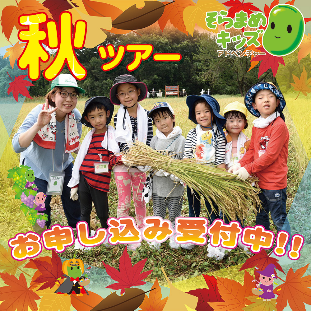 子供のためのキャンプ 工場見学 自然体験 スキーツアーはそらまめキッズアドベンチャーへ