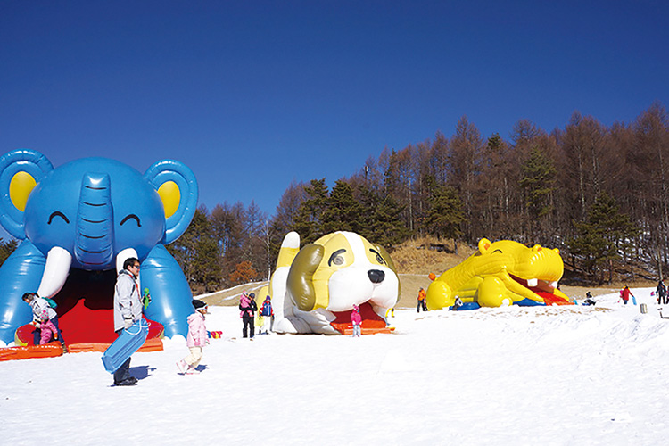 2024そらまめ冬のスキー＆雪遊びキャンプ2days【少人数】in