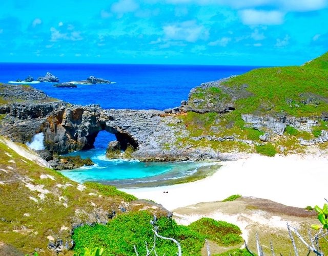 2024コバルトブルーとイルカの島 春の小笠原大冒険キャンプ～世界遺産 