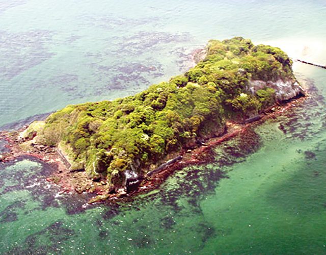 無人島『猿島』冒険キャンプ