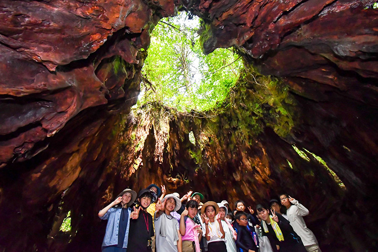 関東】～世界自然遺産・太古の森＆宇宙に一番近い島～2025屋久島