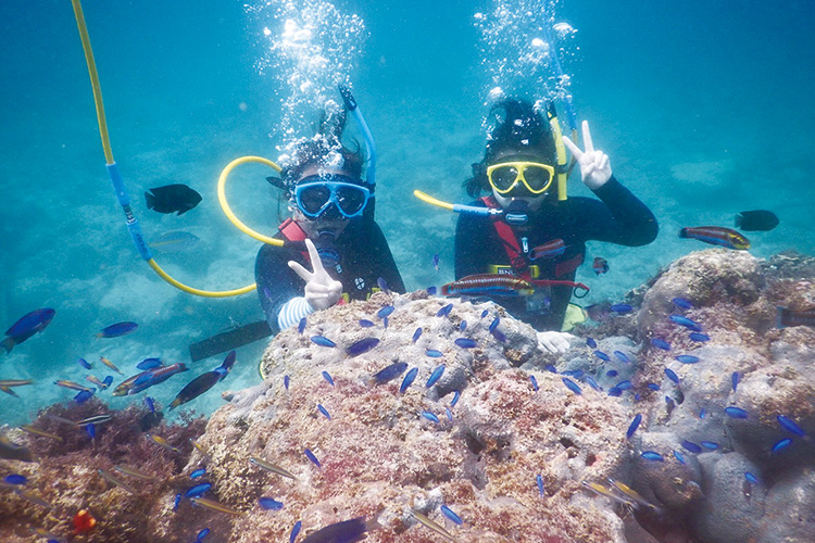 自然体験｜～サンゴ礁と熱帯魚の楽園～2025宮古島大冒険キャンプ