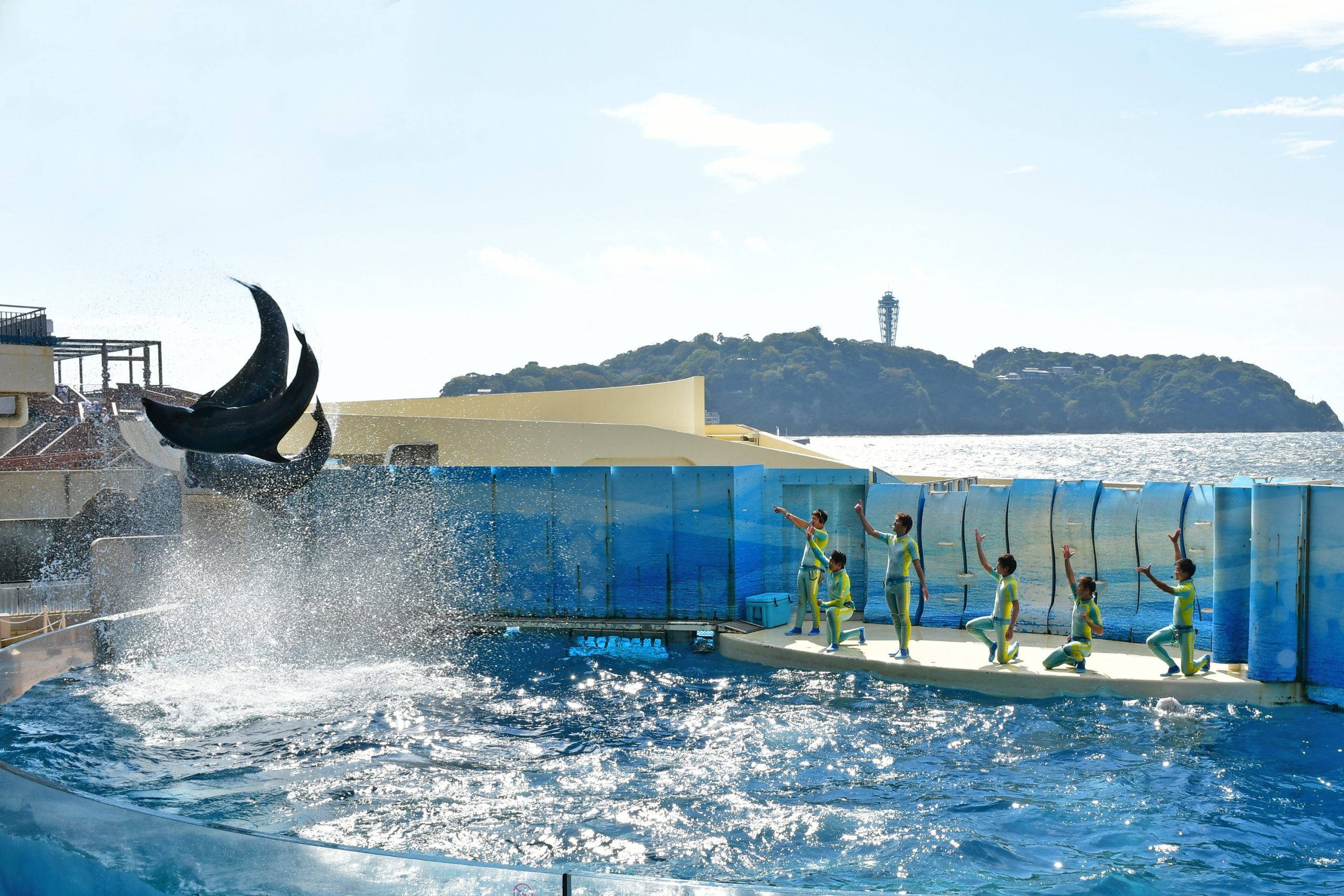 U21 バーチャルビジョン 3D 水槽 イルカ ウミガメ 水族館 U21
