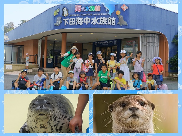 伊豆プレミアムキャンプ3days　①水族館飼育員さん体験コース