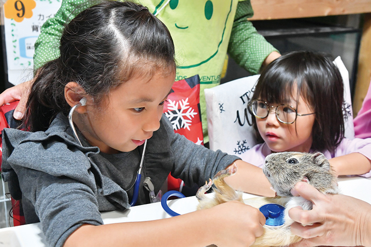 夢への第一歩♪獣医のお仕事体験＆動物ふれあい満喫ツアー①通常コース