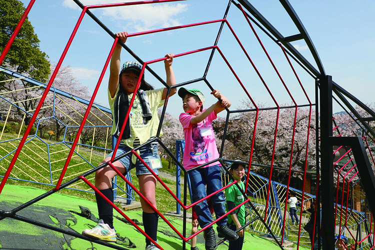 蜘蛛の巣アスレチック