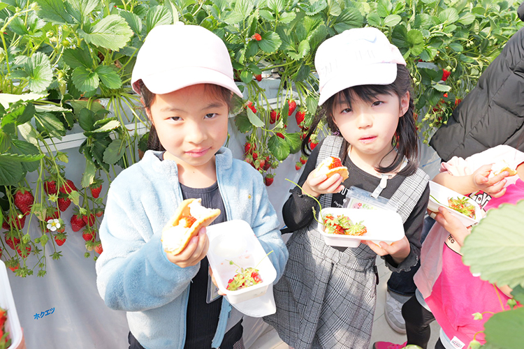 自分で取ったいちごを食べる