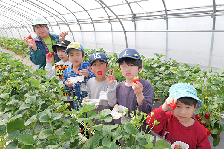 いちご狩り会場で集合