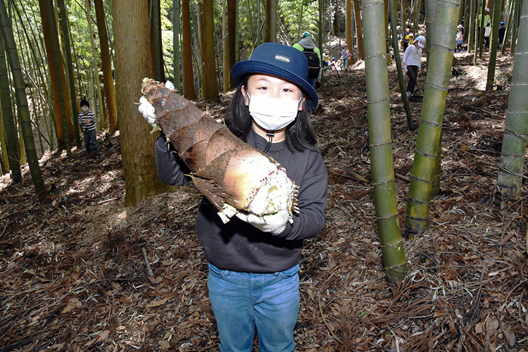 大きなたけのこ