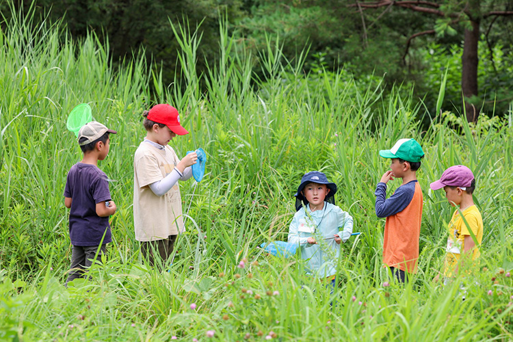 草むらで昆虫探し