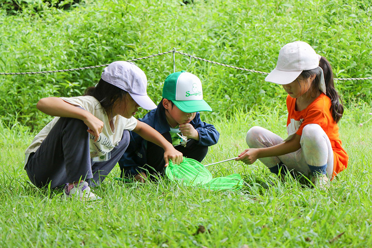 昆虫を見つけた