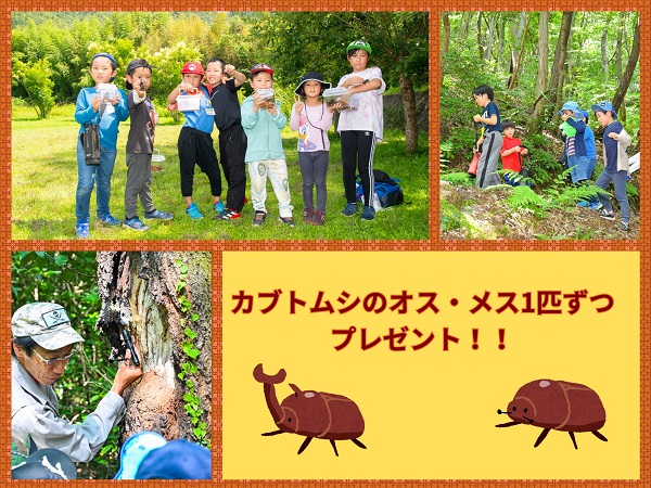 クワガタ