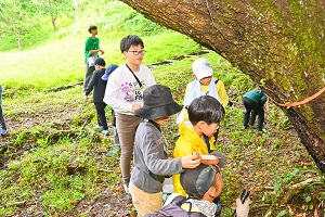 生き物探し②