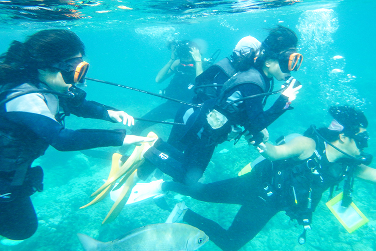 ダイビング体験