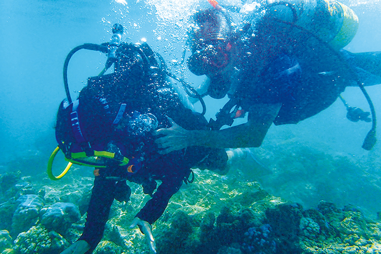 ダイビング体験