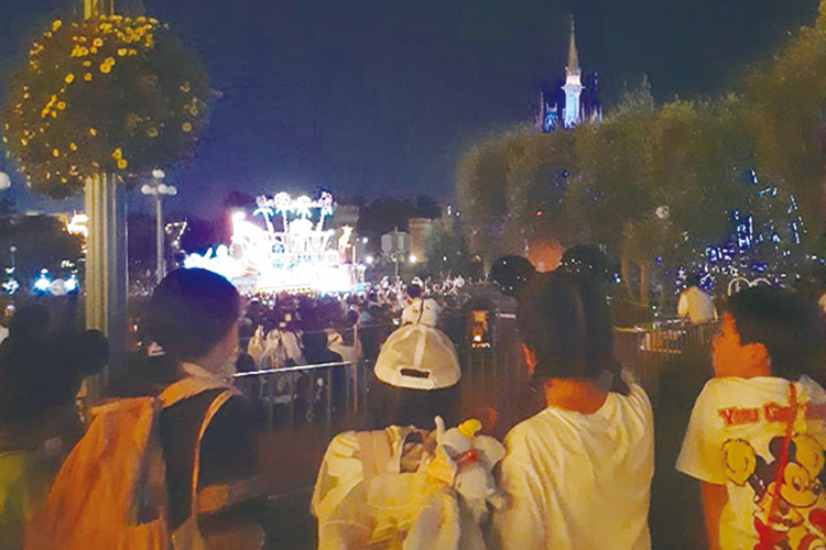 夜のショー見学