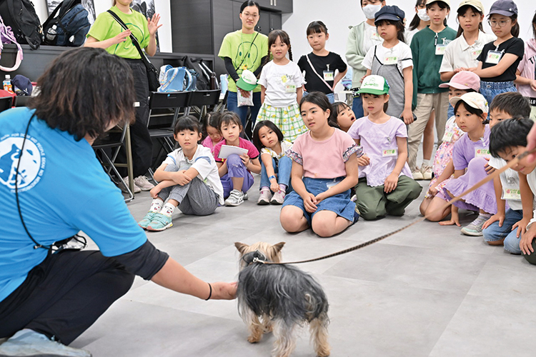 犬のトレーナー体験