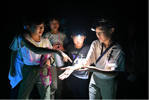 懐中電灯で照らす