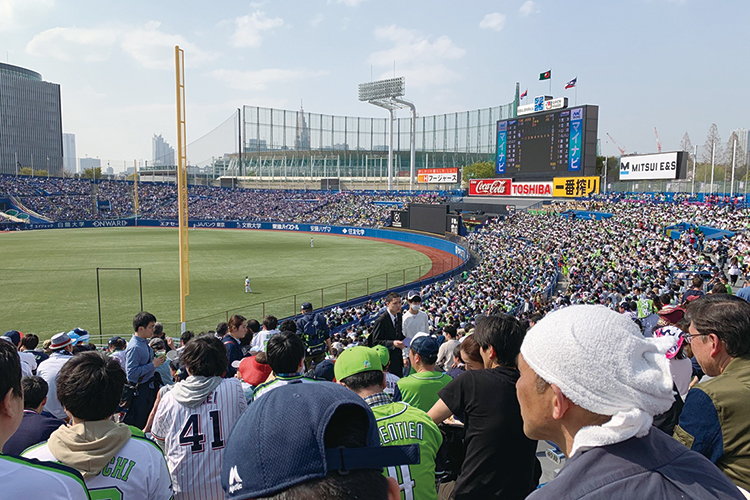 プロ野球観戦