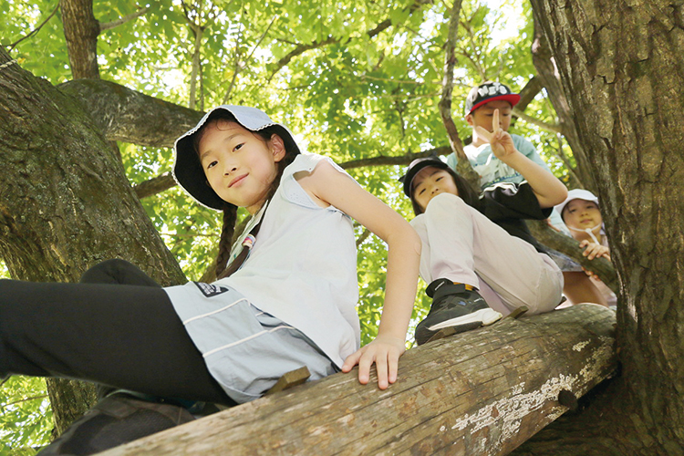 自然の中で遊ぶ