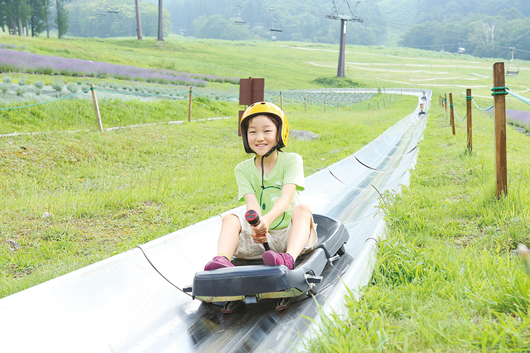 カートで駆け降りる