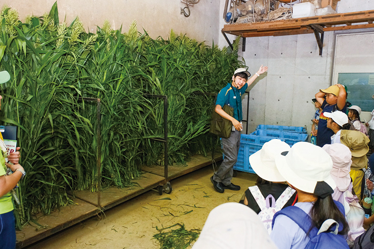 動物園の裏側のお話