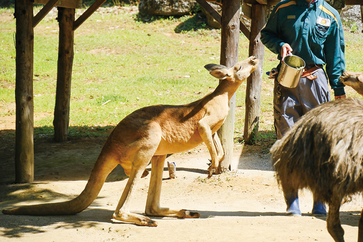 動物の生態について