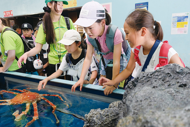 タッチプール◎